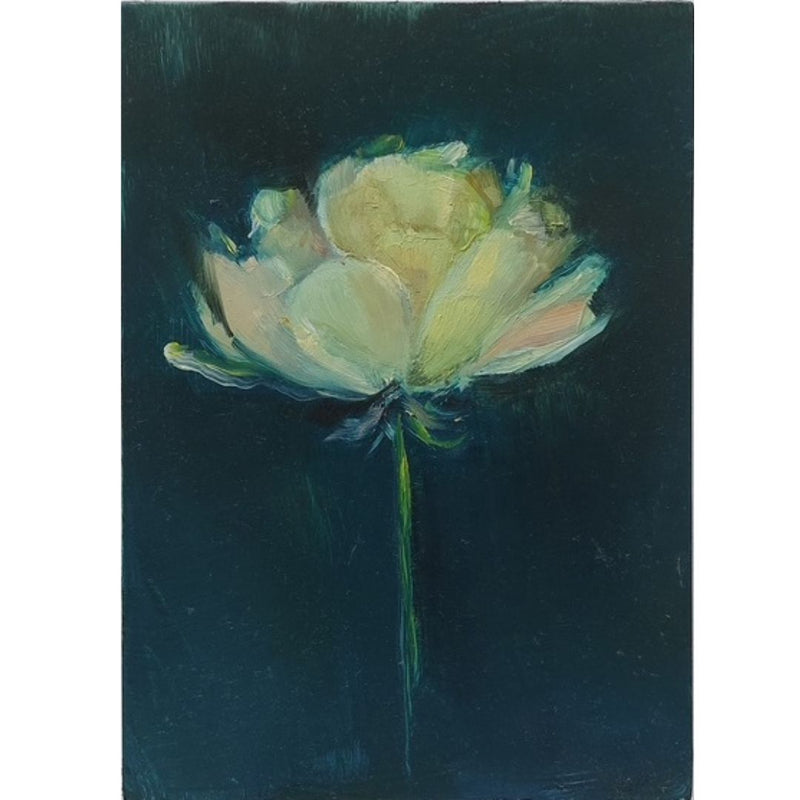 'Ranunculus (New Moon)' Oil on board, Framed