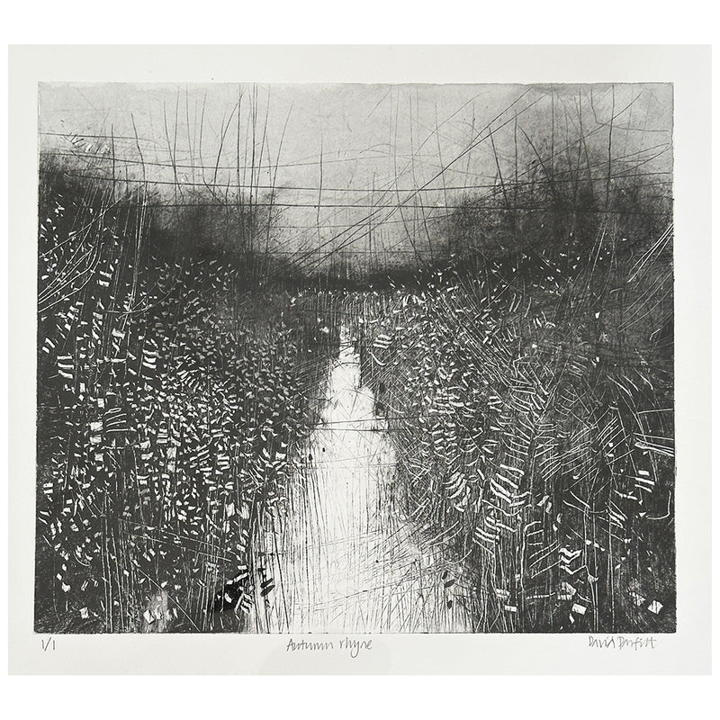 'Autumn Rhyne' Monoprint, Unframed