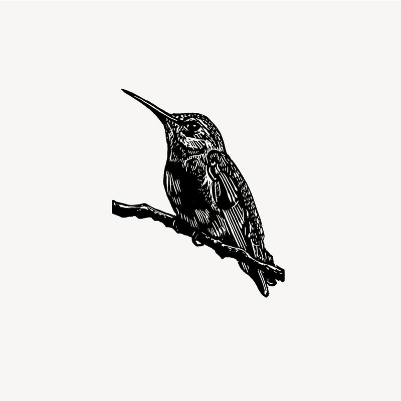 'Anna's Hummingbird' Wood Engraving, Framed or Unframed
