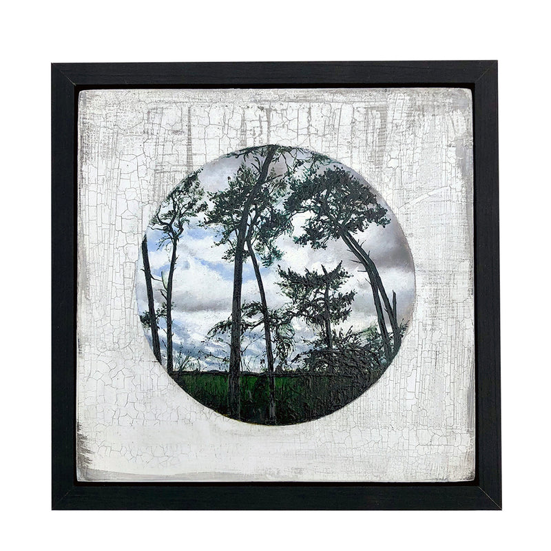 'Looking Through the Pines' Oil on Board, Framed
