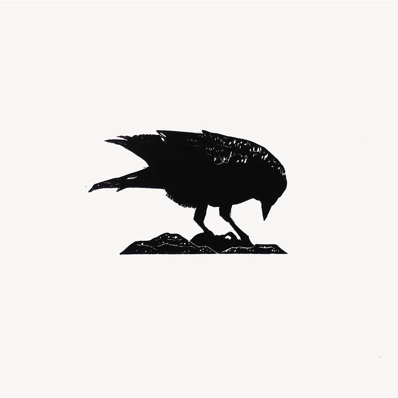 'Pecking Jackdaw' Wood Engraving, Framed or Unframed