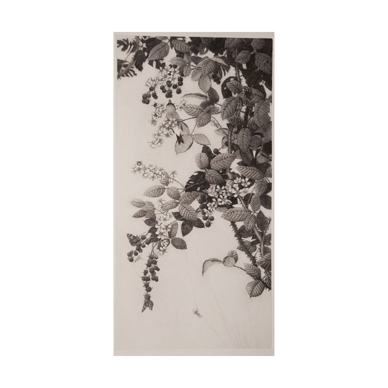 'Brambles and Bullfinches' Etching, Unframed