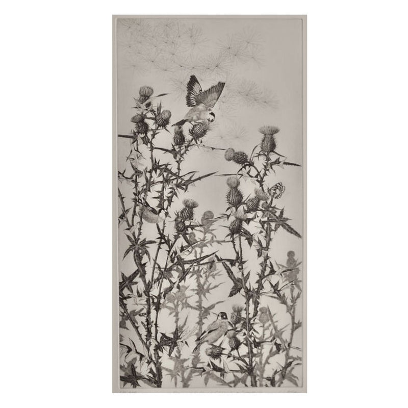 'Goldfinches on Spearthistle' Etching, Unframed