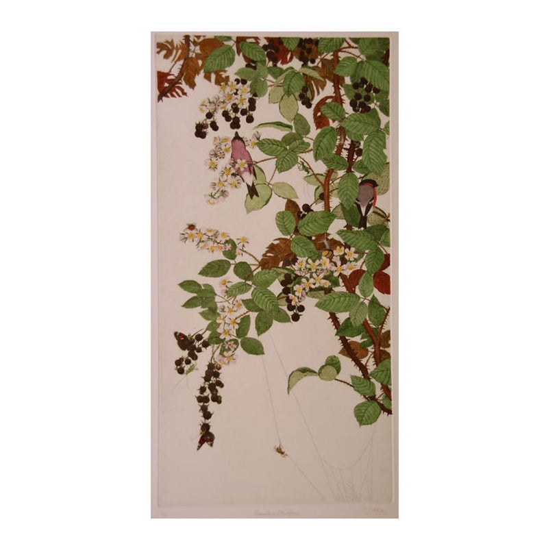 'Brambles and Bullfinches' Hand Coloured Etching, Framed, Framed