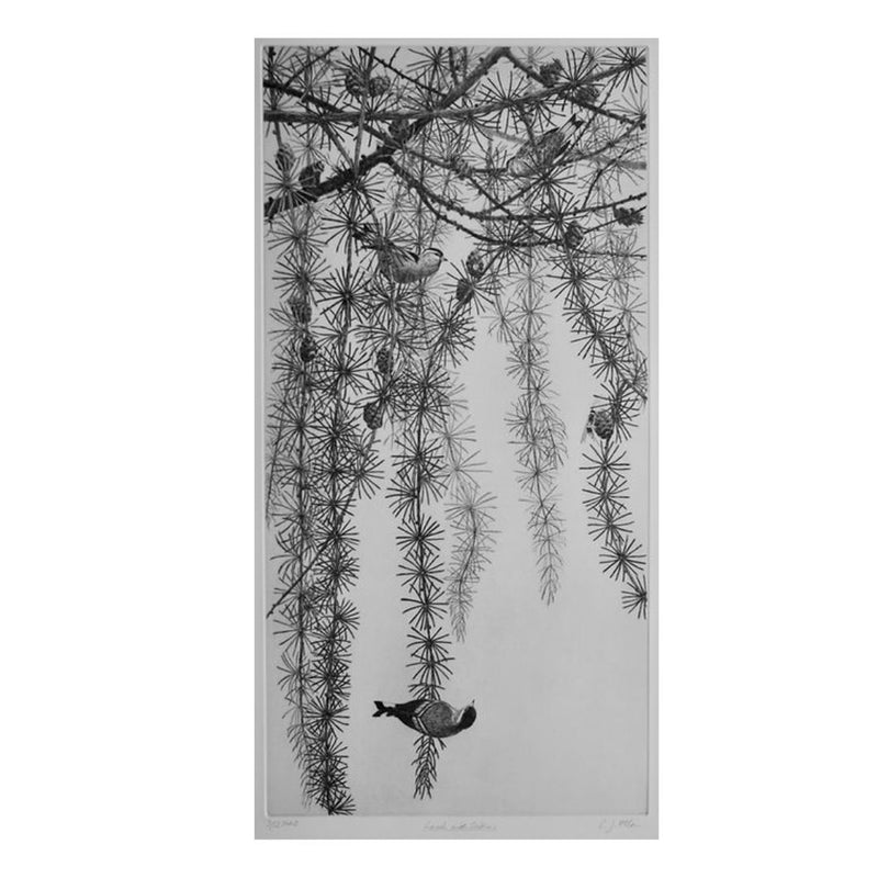 'Larch With Siskins' Etching, Unframed