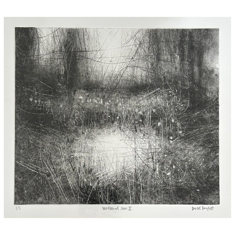 'Wetland Sun II' Monoprint, Unframed