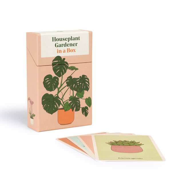 Houseplant Gardener In A Box