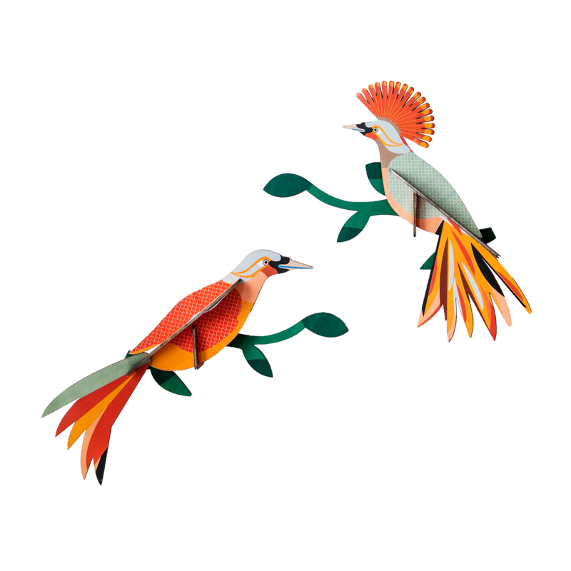 Pair of Obi Birds of Paradise Wall Art