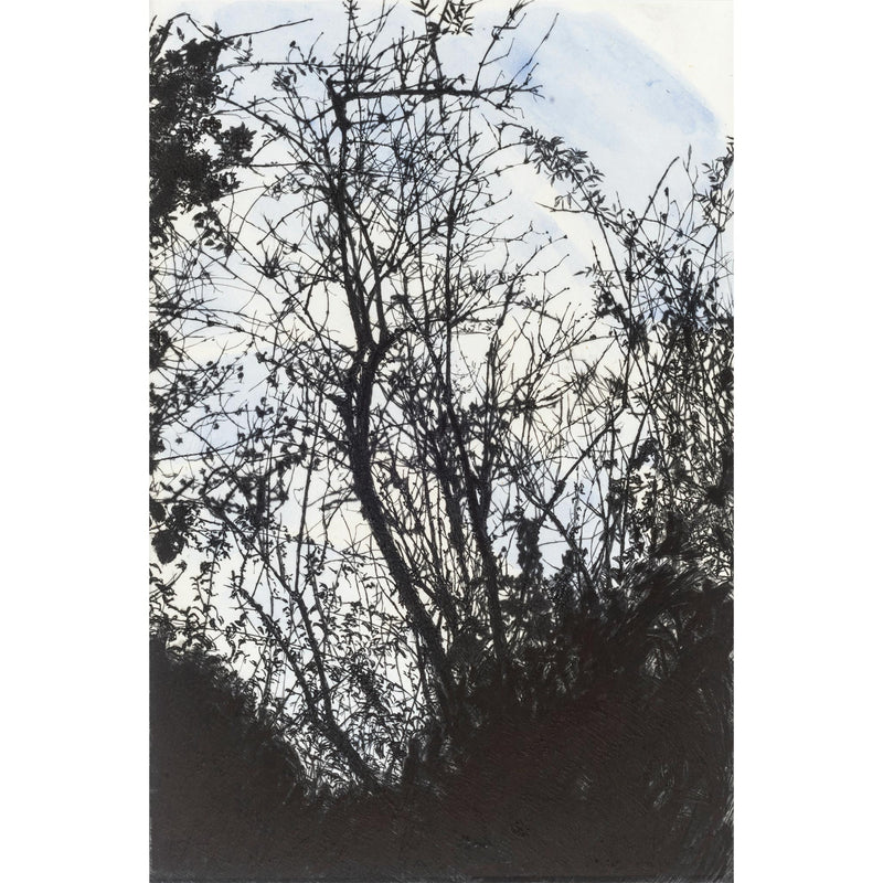 'Summer House Plantation In Winter' Etching, Unframed