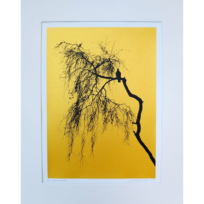 'Birds Eye View' Screen Print