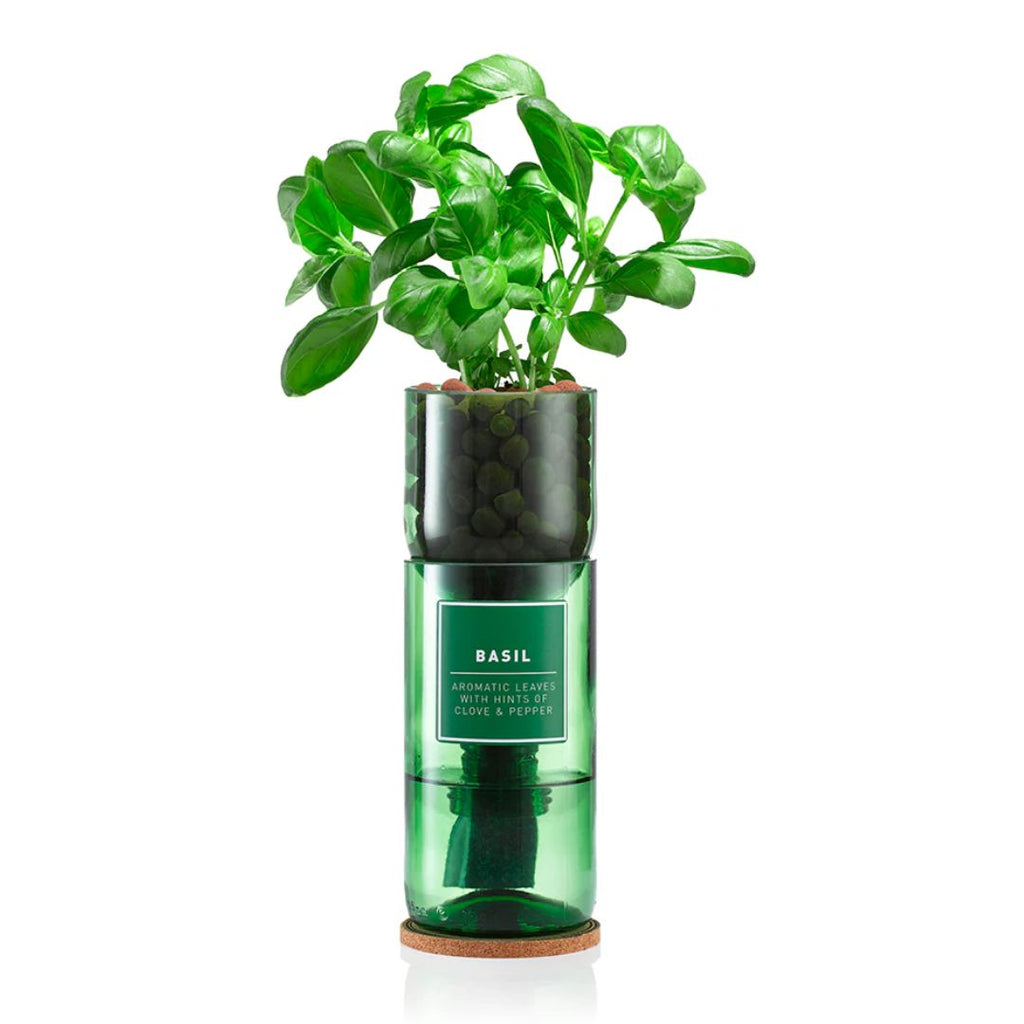 Hydro-Herb Kit : Basil