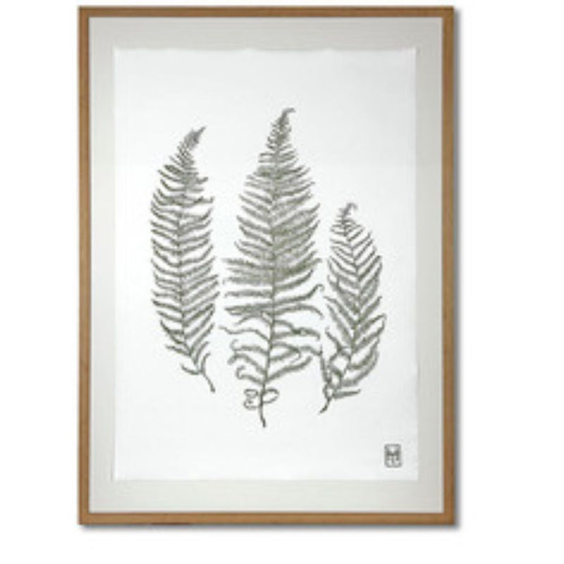'Three Ferns', Inks On Japanese Paper, Framed