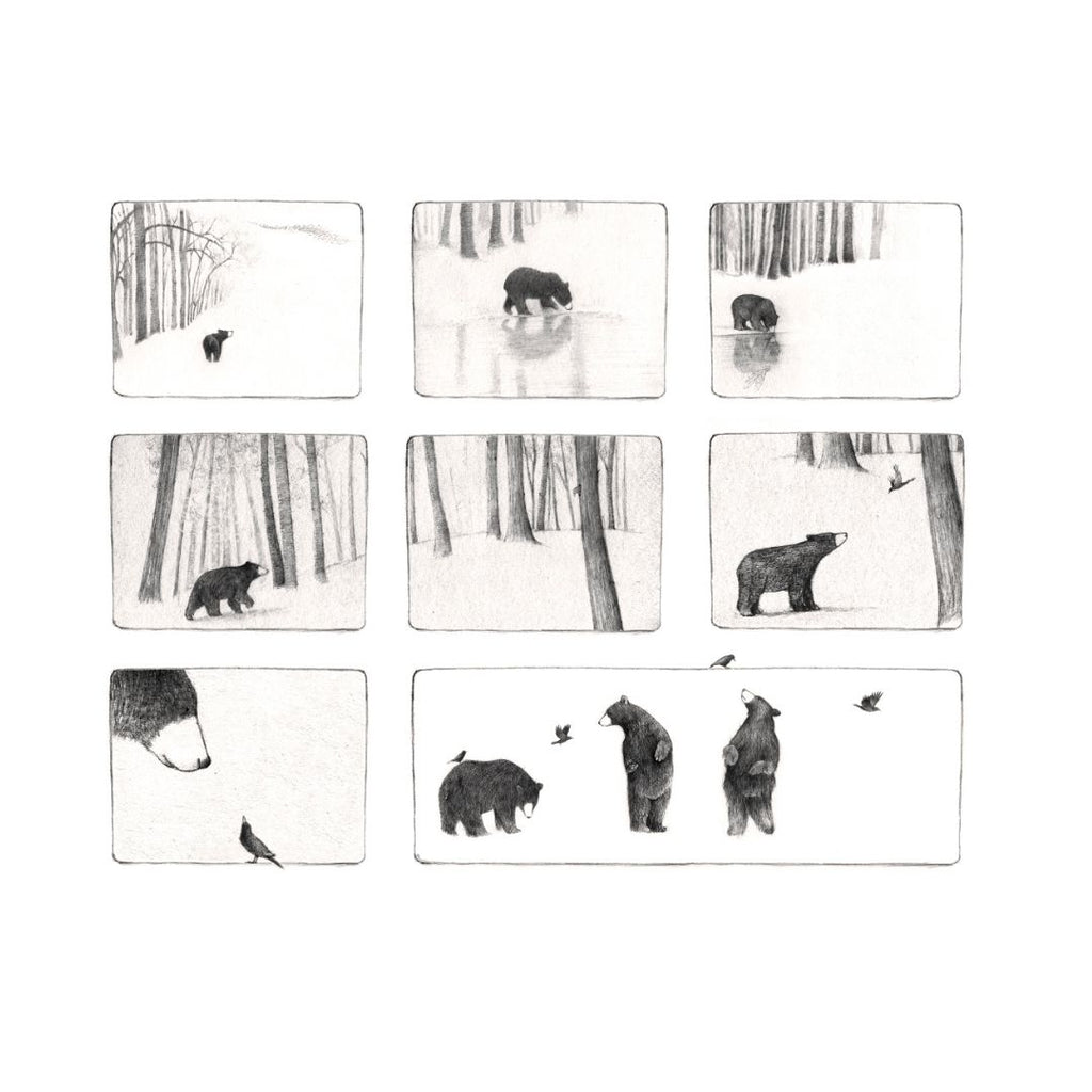 Bear Print - Storyboard no. 2