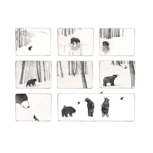 Bear Print - Storyboard no. 2