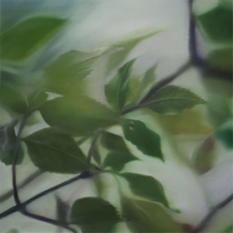 'Forest Study' Oil On Aluminium, Unframed