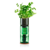 Hydro-Herb Kit : Coriander