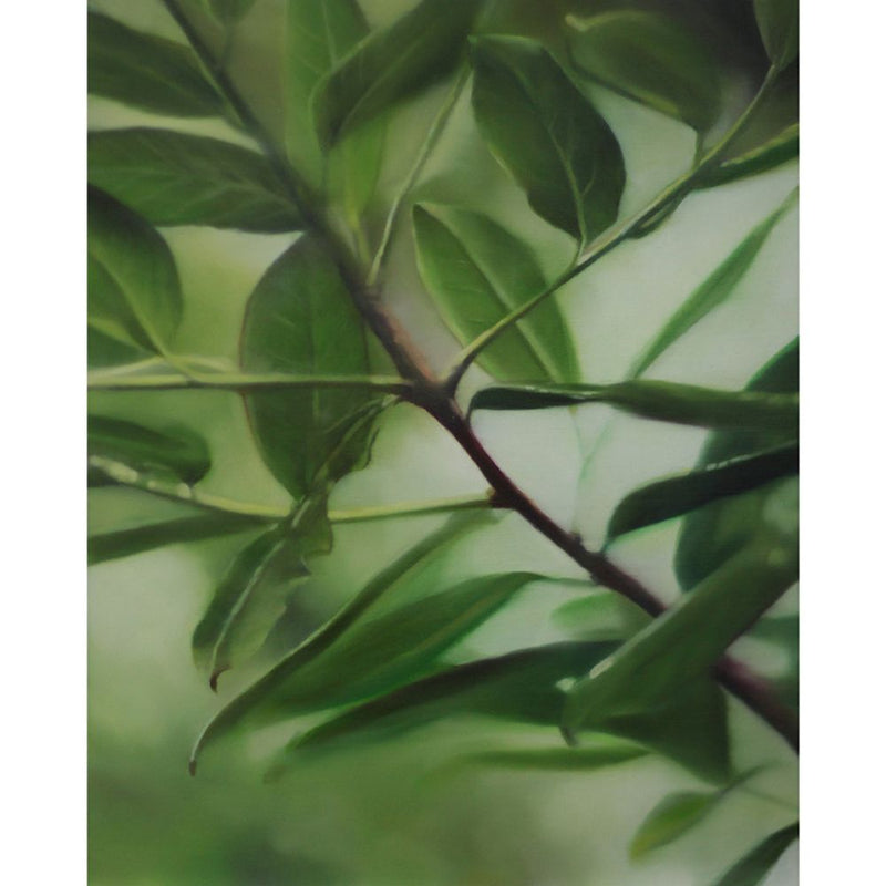 'Forest Study XXI' Oil On Aluminium, Unframed