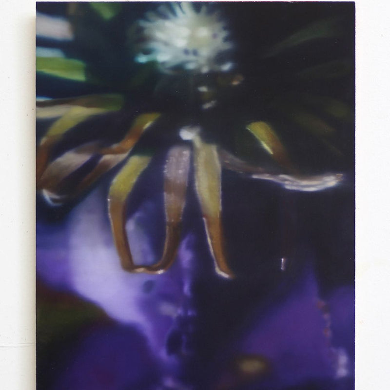 'Clematis' Oil On Board, Unframed