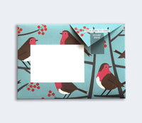 Origami Letter Writing Set - Robin & Wren Pack