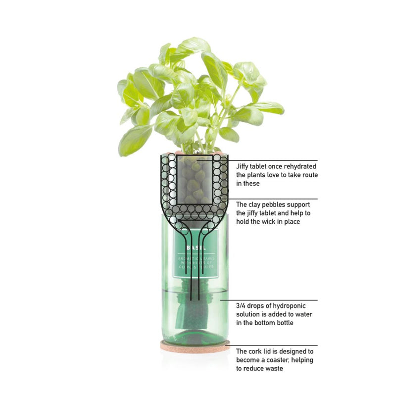 Hydro-Herb Kit : Basil