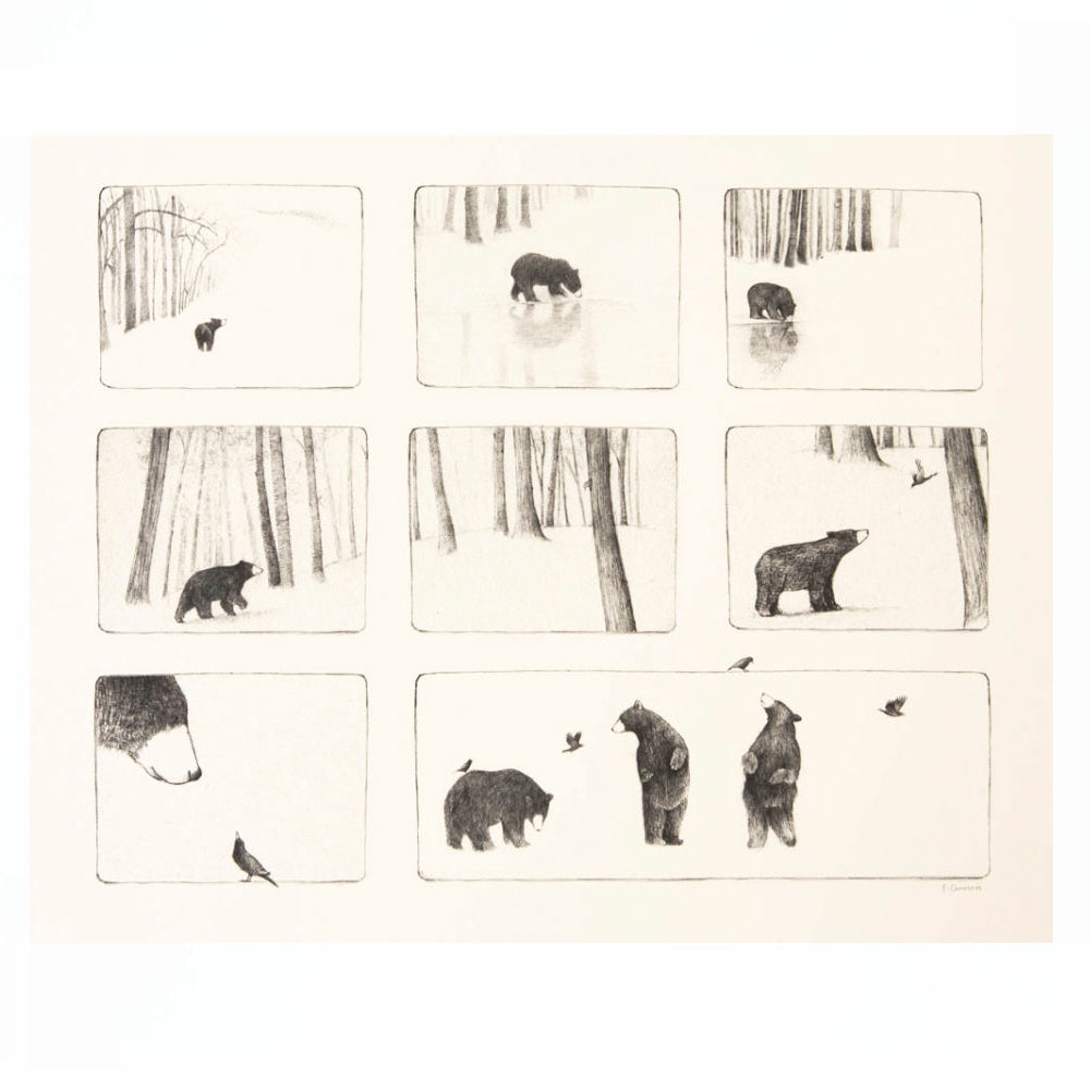 Bear Print - Storyboard no. 2