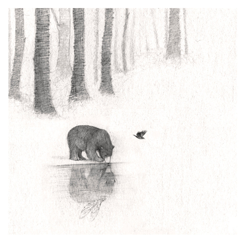 Bear Print - Bear With Reflection