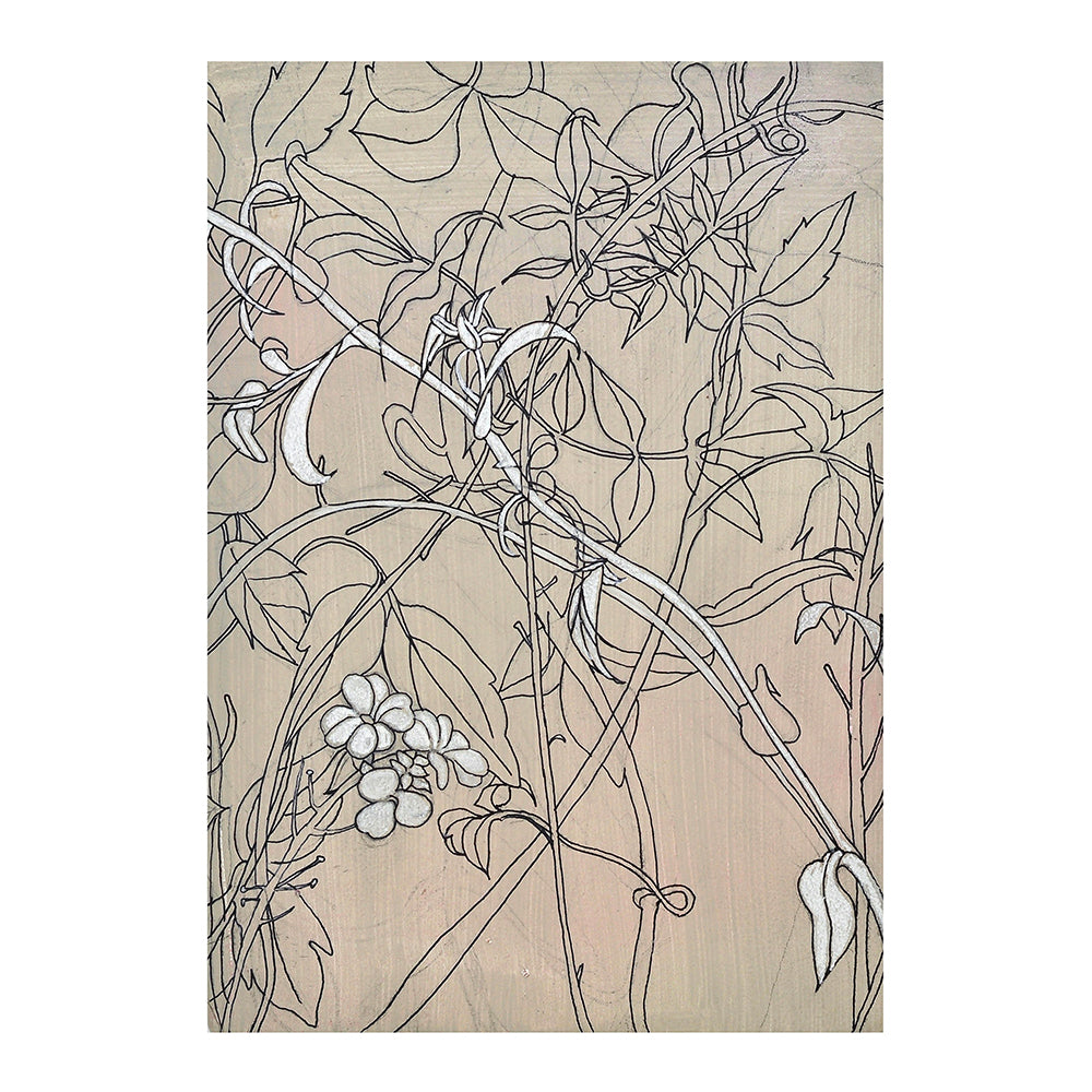 'Clematis Montana' Unframed Giclee Print.