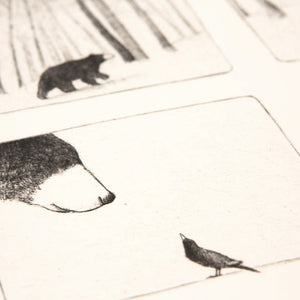 Bear Print - Storyboard no. 2