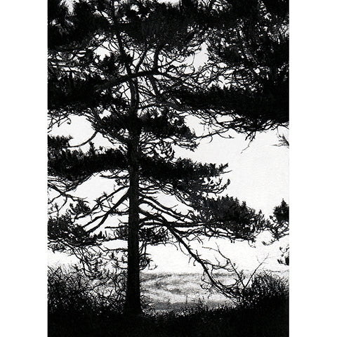 'Holkham Pines' Glicée Print, Framed or Unframed