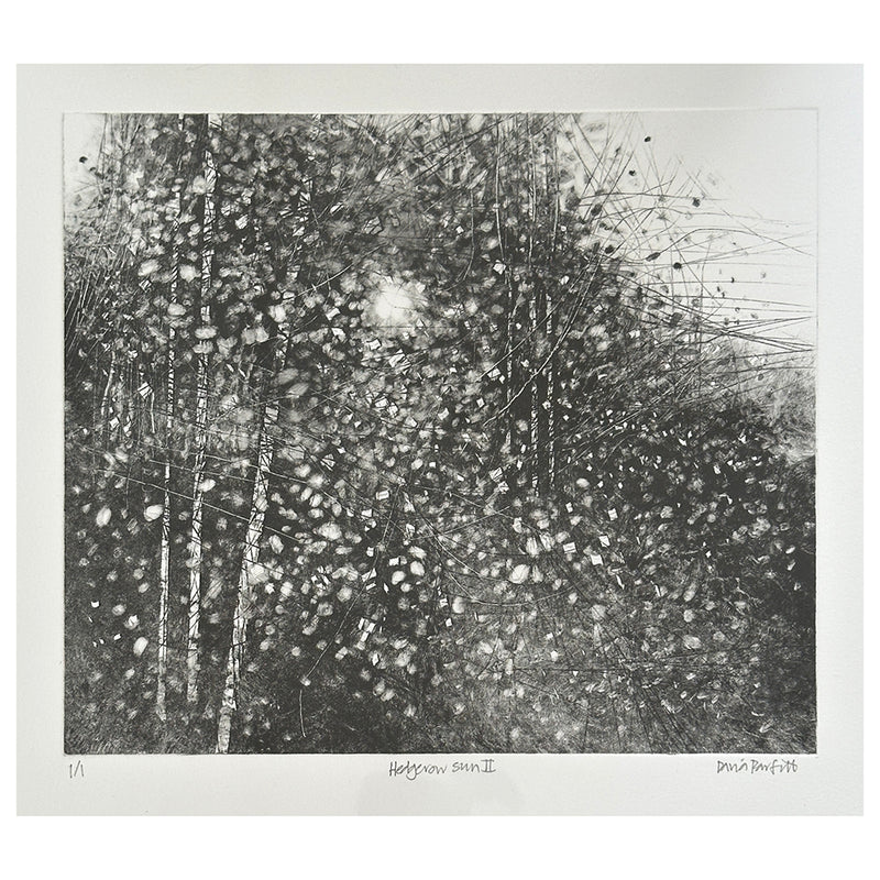 'Hedgerow Sun II' Monoprint, Unframed