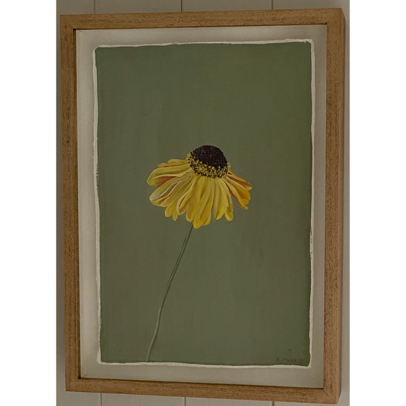 'Helenium IV', Gouache, Framed