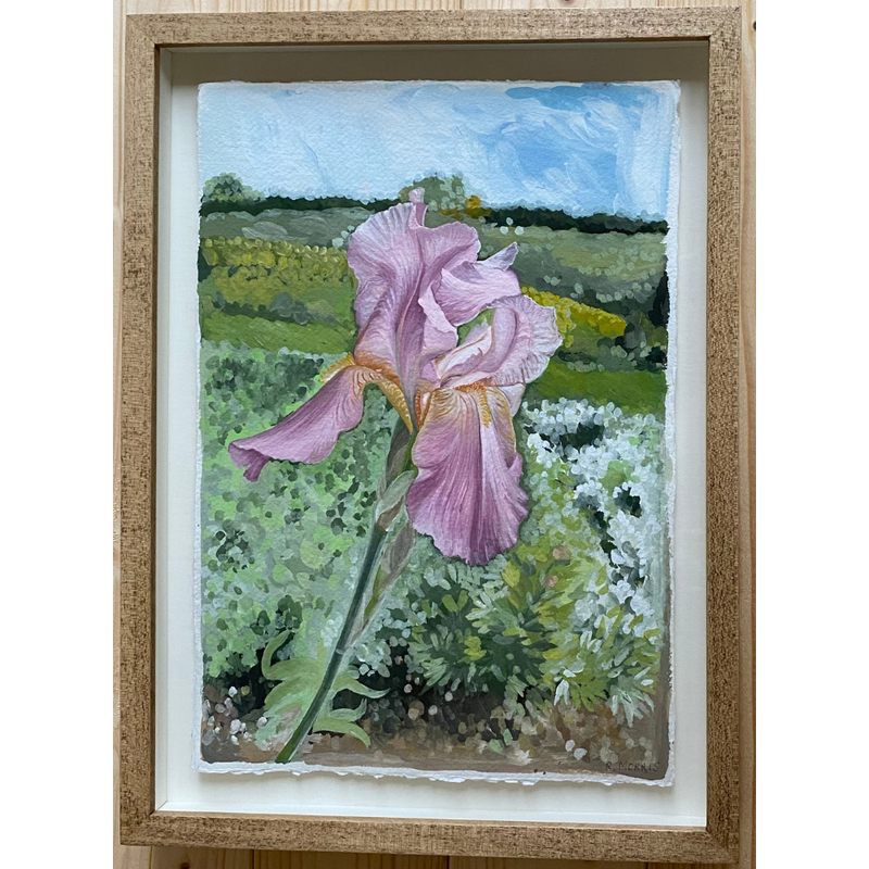 'Iris', 'Benton Old Madrid' at Hillside, Gouache, Framed