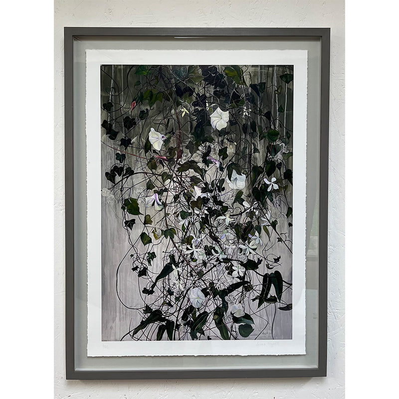 'Ivy' Framed Archival Giclee Print