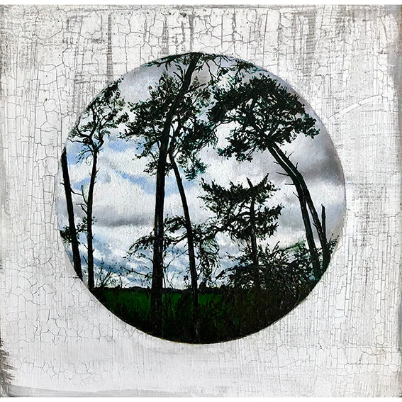 'Looking Through the Pines' Oil on Board, Framed