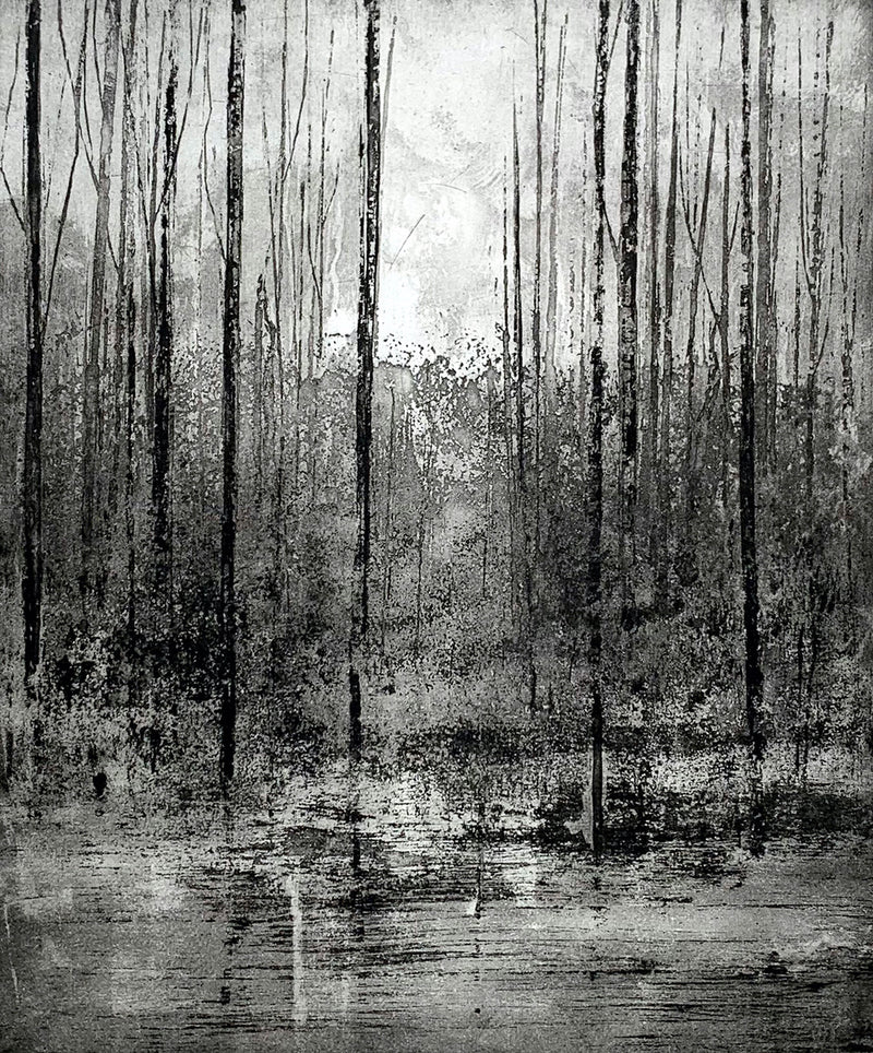 'Our Life Is A Faint Tracing On The Surface Of Mystery' Etching, Framed/Unframed