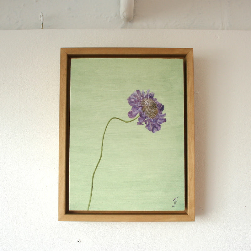 'Scabious' Oil Painting, Framed