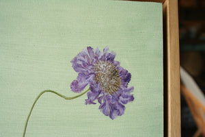 'Scabious' Oil Painting, Framed