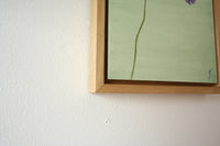 'Scabious' Oil Painting, Framed