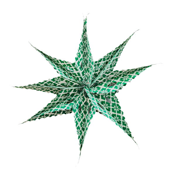 Green Paper Star Decoration