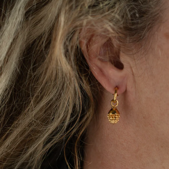 Acorn Hoop Earrings, Gold Plated