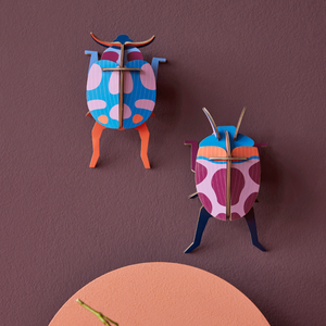 Small Pair of Coccinelle Beetles Wall Art