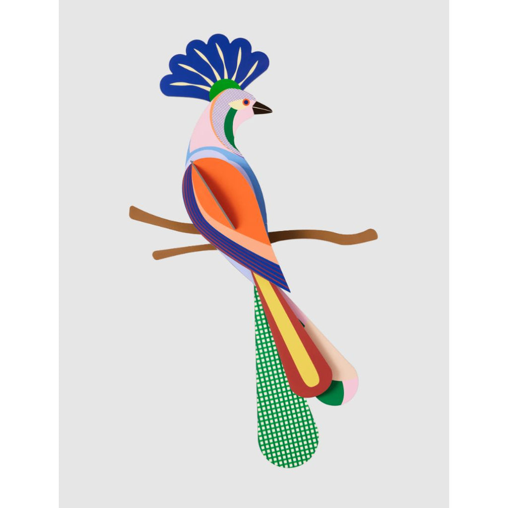 Tinjil Paradise Bird Wall Art