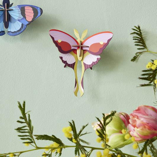 Small Lilac Comet Butterfly Wall Art