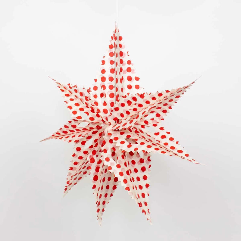 Red Paper Star Decoration