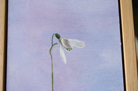 'Snowdrop' Oil Painting, Framed