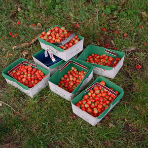 Strawberry & Rosewater Jam