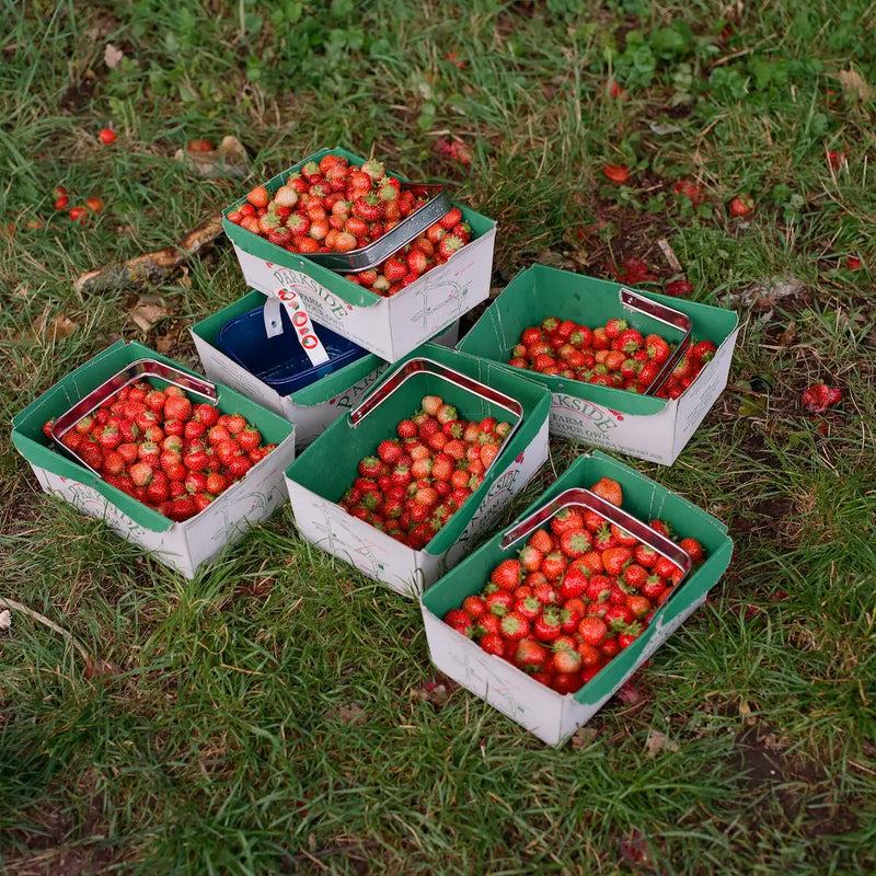 Strawberry & Rosewater Jam