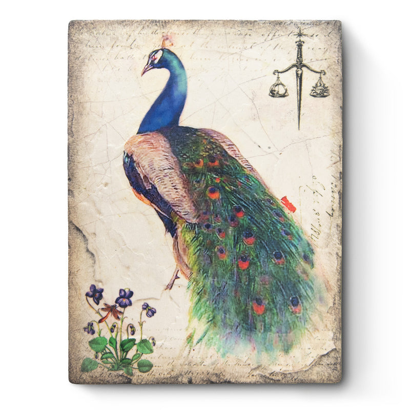 Peacock T597 - Sid Dickens Memory Block