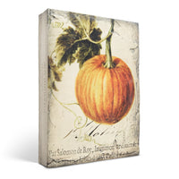 Pumpkin T619 - Sid Dickens Memory Block