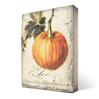 Pumpkin T619 - Sid Dickens Memory Block